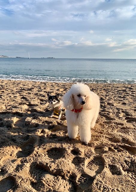 Raison d' être dite raquel du bois de Morchène