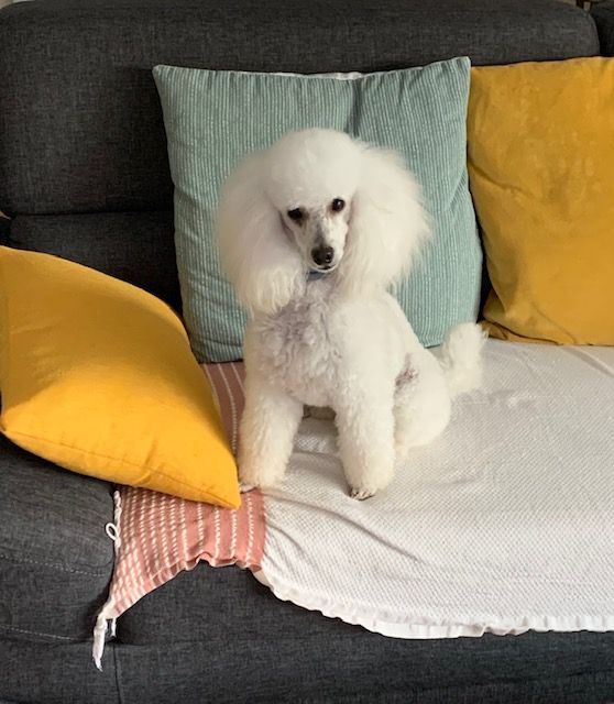 Raison d' être dite raquel du bois de Morchène