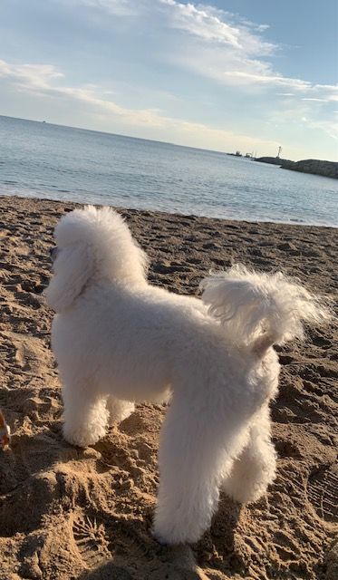 Raison d' être dite raquel du bois de Morchène