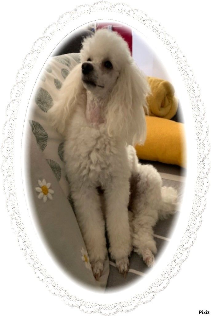 Raison d' être dite raquel du bois de Morchène