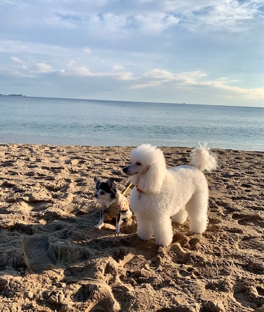 Raison d' être dite raquel du bois de Morchène