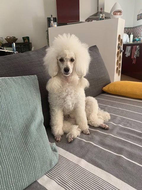 Raison d' être dite raquel du bois de Morchène