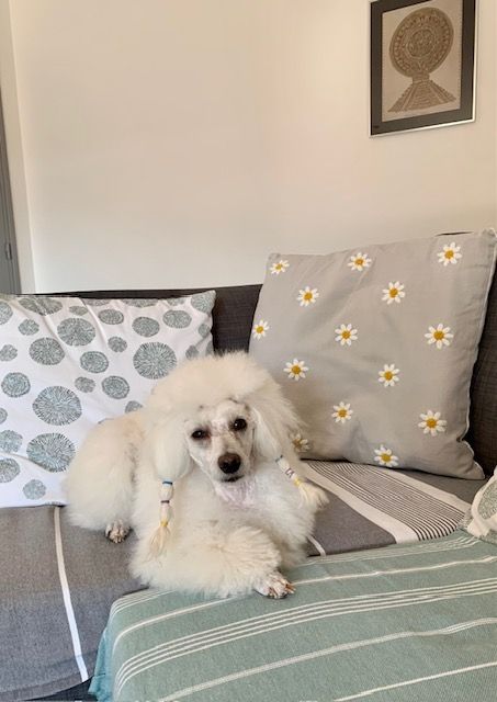 Raison d' être dite raquel du bois de Morchène