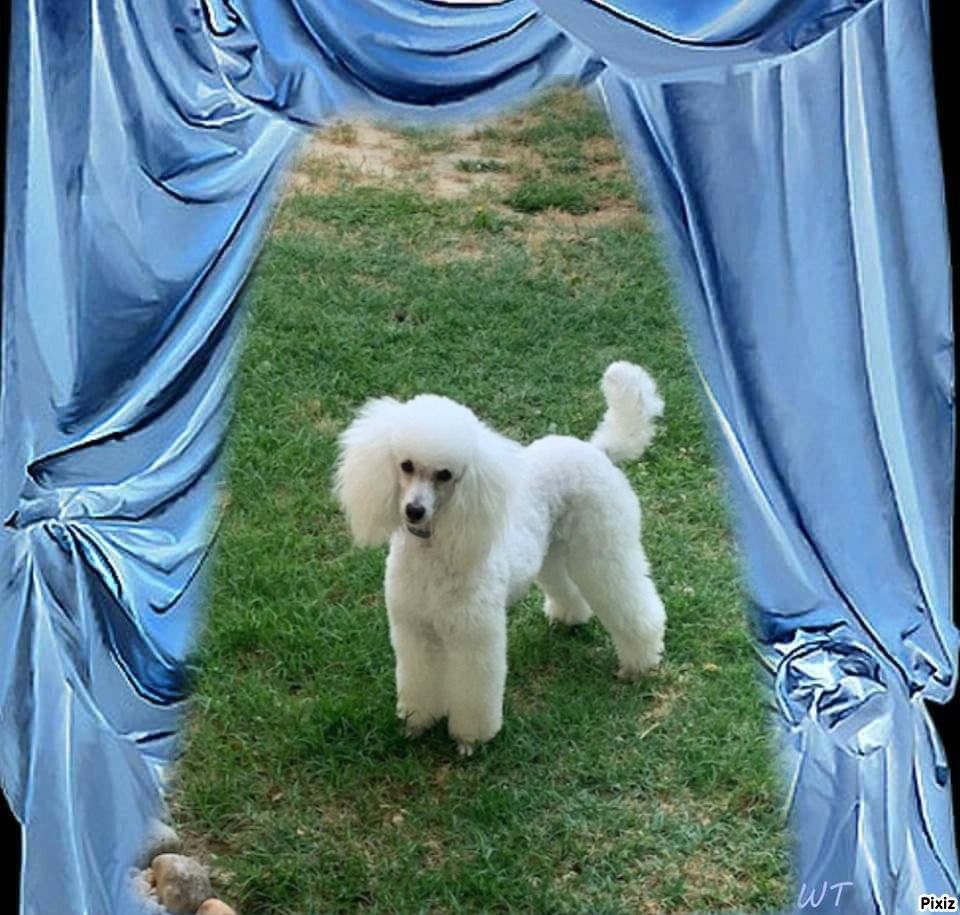 Raison d' être dite raquel du bois de Morchène