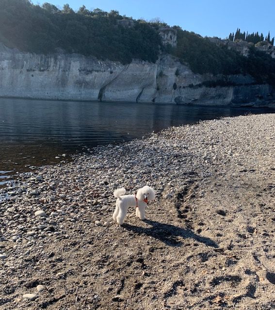 Raison d' être dite raquel du bois de Morchène