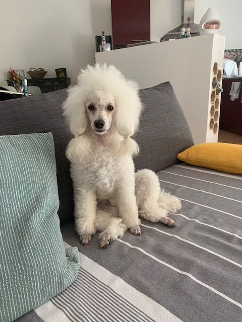 Raison d' être dite raquel du bois de Morchène