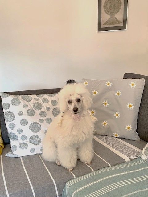 Raison d' être dite raquel du bois de Morchène