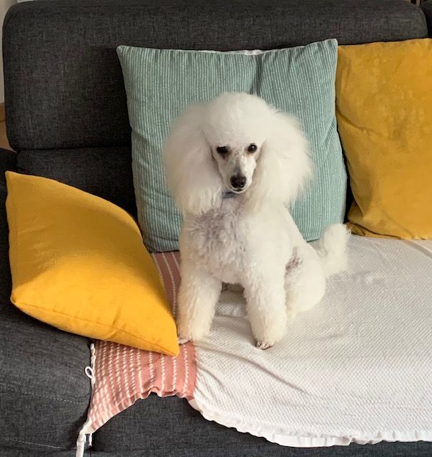 Raison d' être dite raquel du bois de Morchène