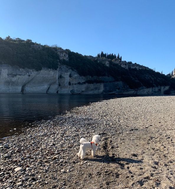 Raison d' être dite raquel du bois de Morchène