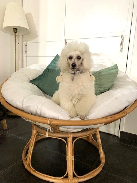 Raison d' être dite raquel du bois de Morchène