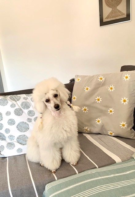 Raison d' être dite raquel du bois de Morchène