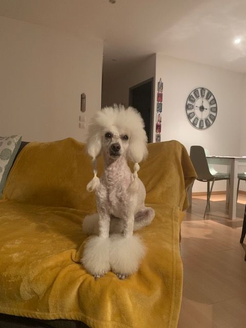 Raison d' être dite raquel du bois de Morchène