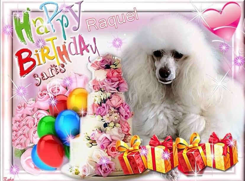 Raison d' être dite raquel du bois de Morchène