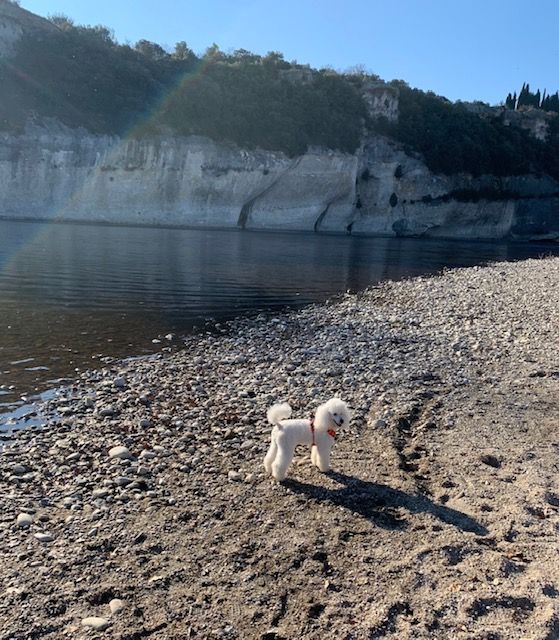 Raison d' être dite raquel du bois de Morchène