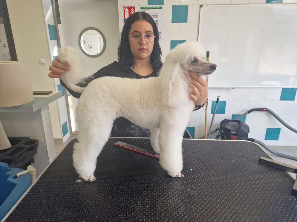 Raison d' être dite raquel du bois de Morchène