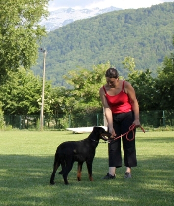 Publication : des Feux de l'Ange Auteur : boulay ludivine