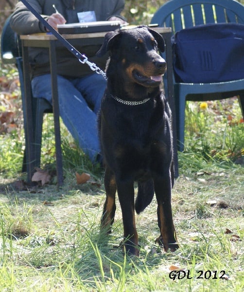 CH. Genesis des Feux de l'Ange