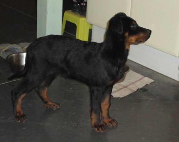 Publication : des Feux de l'Ange Auteur : boulay ludivine