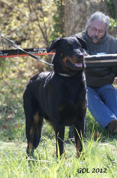 CH. Genesis des Feux de l'Ange