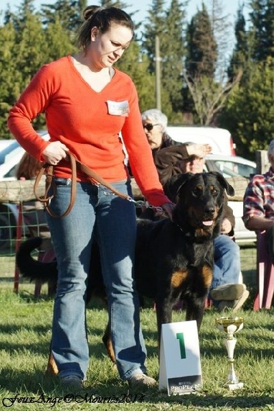 Hunik des Feux de l'Ange - Exc/Exc - cot 3 - 1er classe Intermédiaire