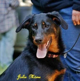 Jolie môme des Feux de l'Ange - Très Prometteur