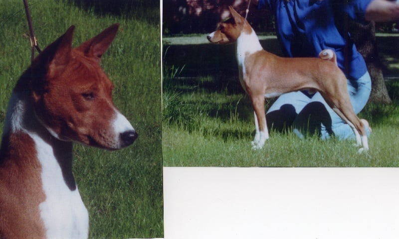 Publication : Of swala pala