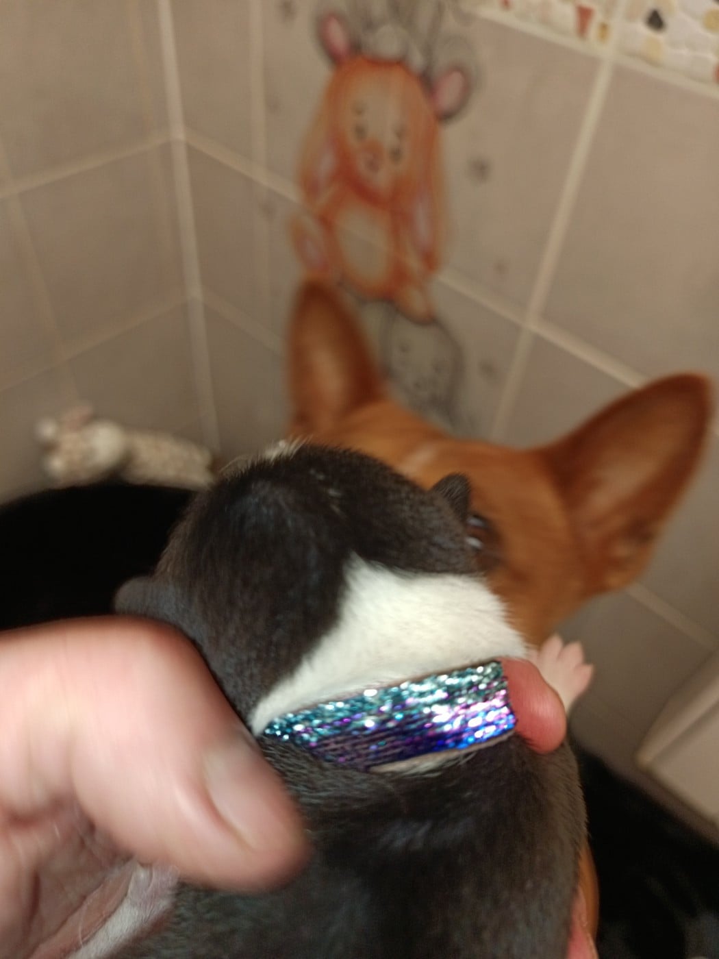 Collier violet et vert/ tricolore