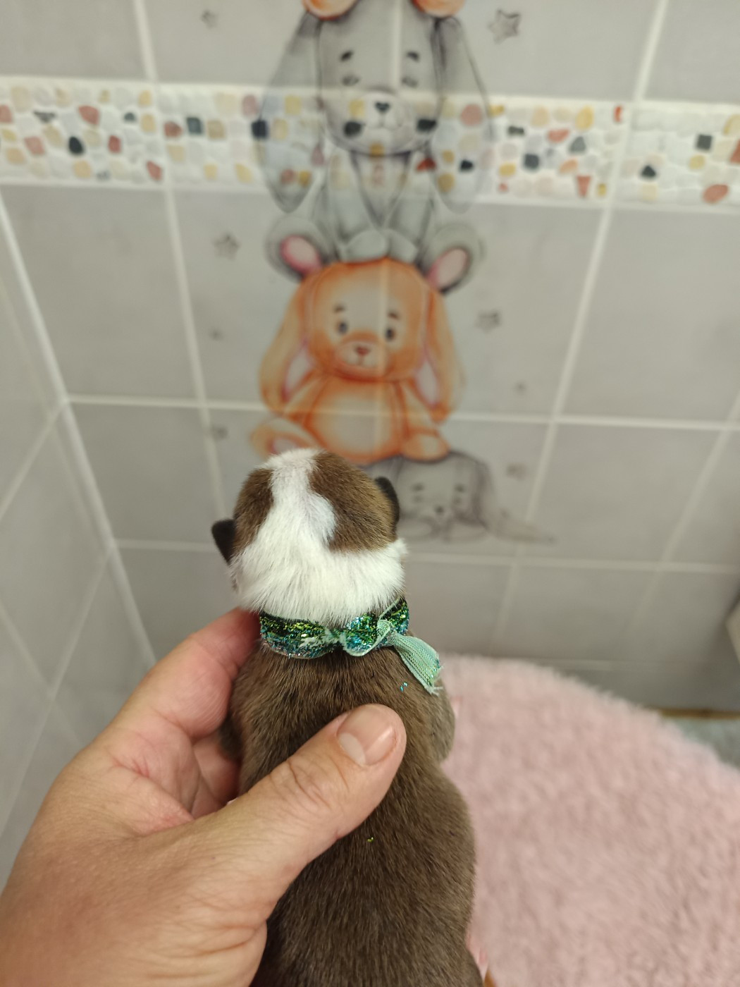 CHIOT 3