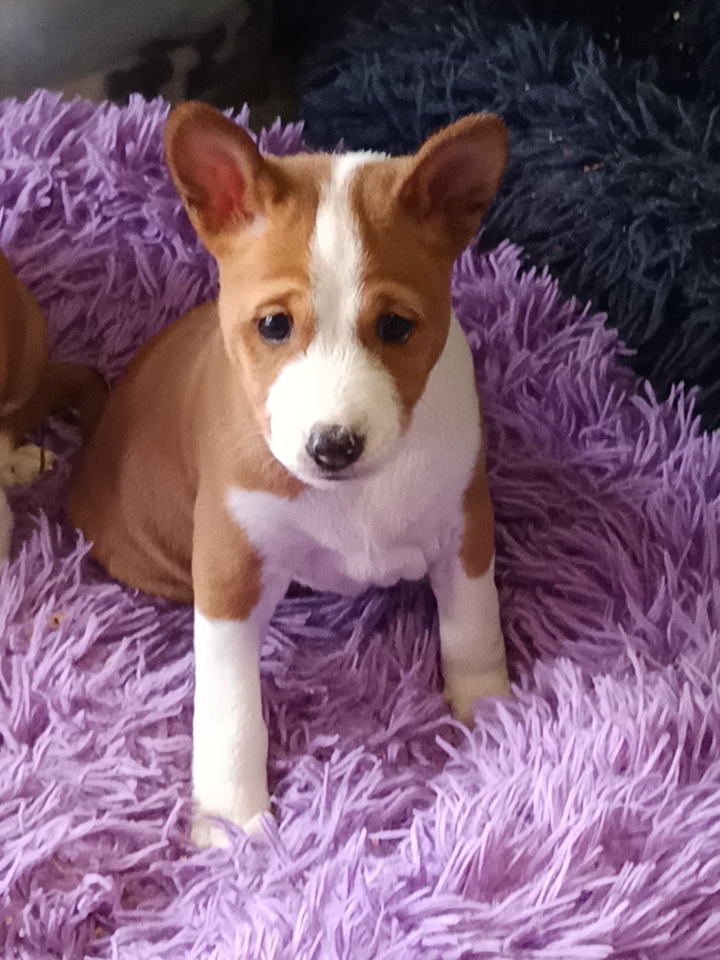 Billy