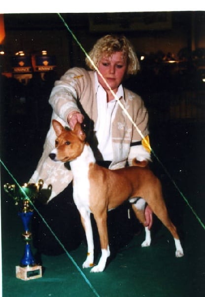 CH. signet Jay r hot dmn dit adam - 1 EXC VETERAN