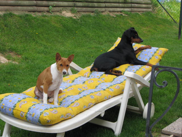 Publication : De la capellière