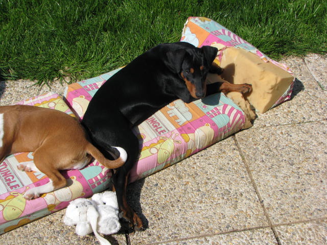 Publication : De la capellière