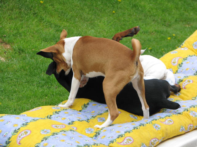 Publication : De la capellière