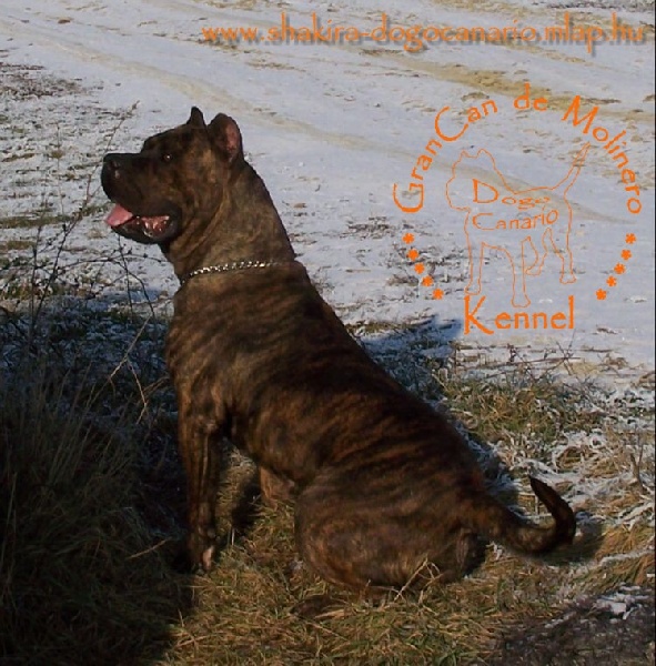 Publication : des contes de Lola Auteur : Molnar Tamas & Judit