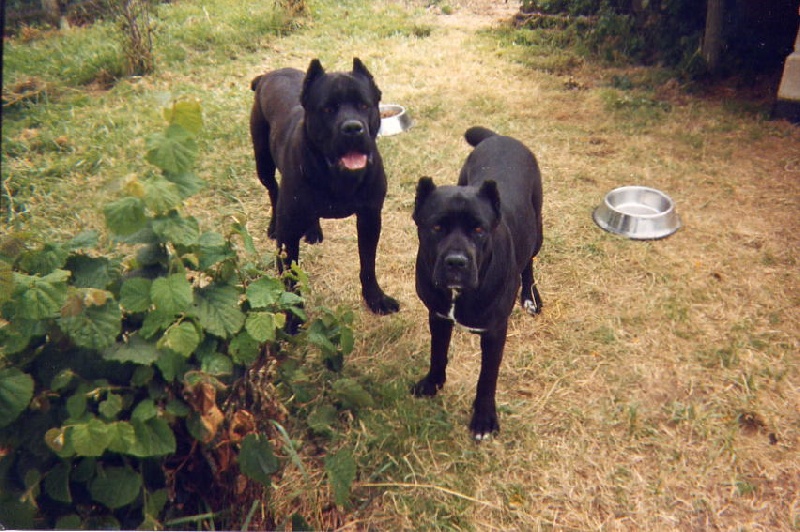 Publication : des contes de Lola