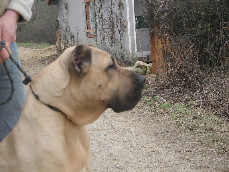 Publication : Des Blanches Neiges Ardechoises