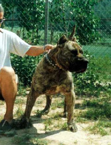 Publication : des contes de Lola