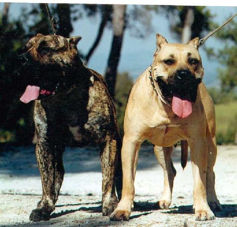 Publication : des contes de Lola