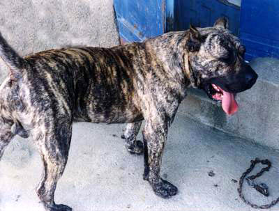 Publication : des contes de Lola