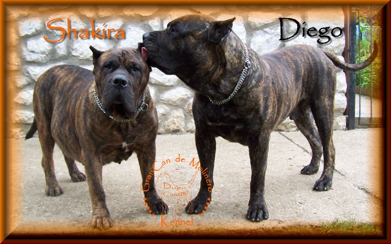 Publication : des contes de Lola Auteur : Molnar Tamas & Judit