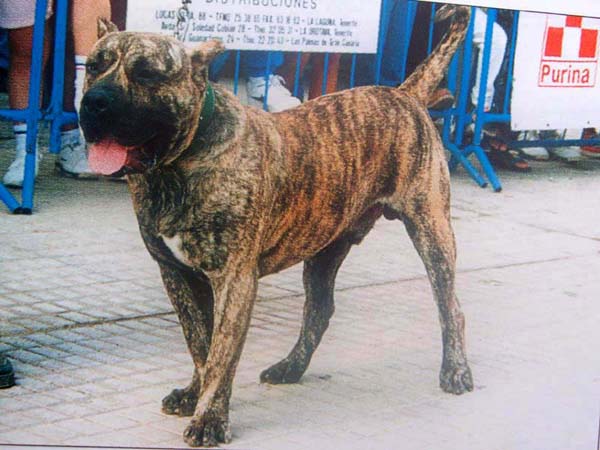 Publication : des contes de Lola