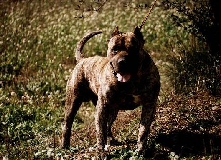 Publication : des contes de Lola