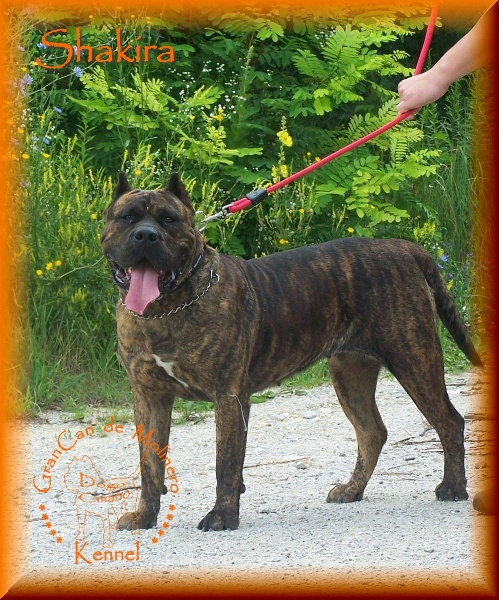 Publication : des contes de Lola Auteur : Molnar Tamas & Judit