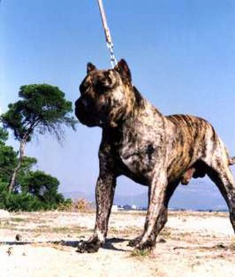 Publication : des contes de Lola