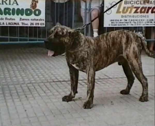 Publication : des contes de Lola