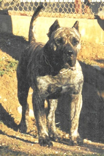 Publication : des contes de Lola