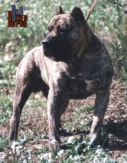 Publication : des contes de Lola