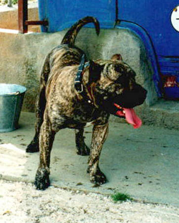 Publication : des contes de Lola