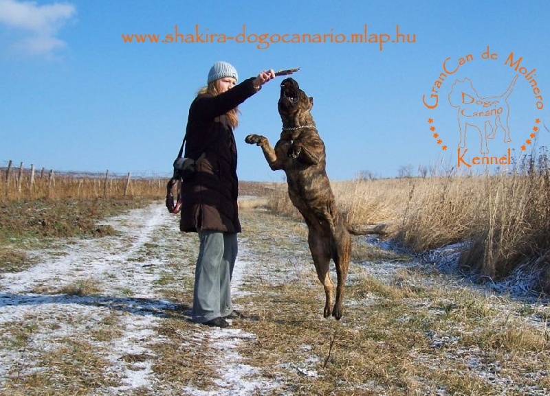 Publication : des contes de Lola Auteur : Molnar Tamas & Judit