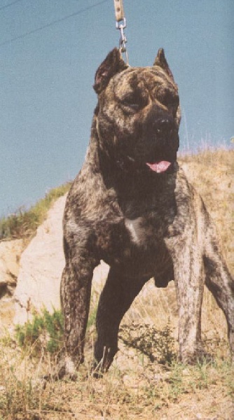 Publication : des contes de Lola